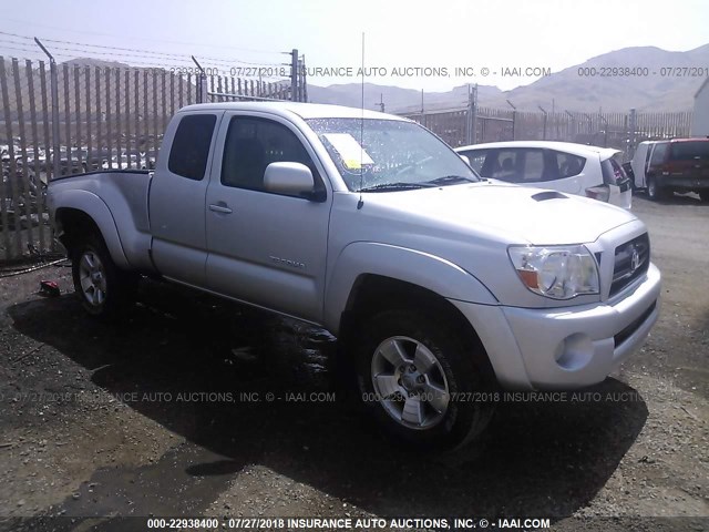 5TEUU42N28Z520069 - 2008 TOYOTA TACOMA ACCESS CAB Silber Foto 1