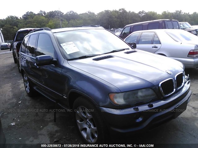 5UXFB33513LH43428 - 2003 BMW X5 4.4I GRAY photo 1