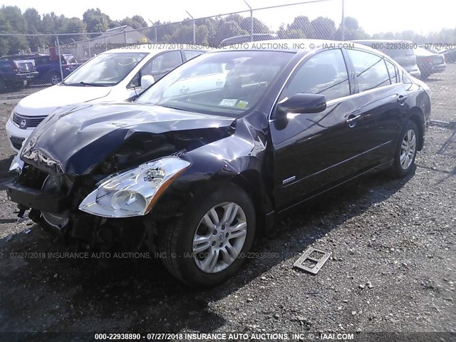 1N4CL2AP8AC179759 - 2010 NISSAN ALTIMA HYBRID BLACK photo 2