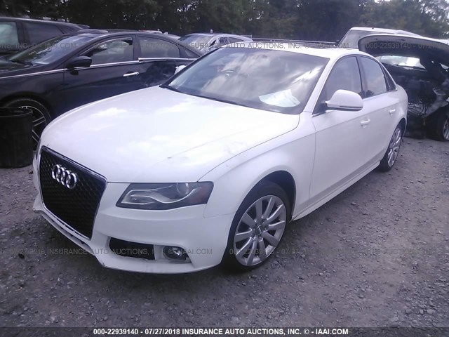 WAUSF78K59N022241 - 2009 AUDI A4 PREMIUM PLUS WHITE photo 2