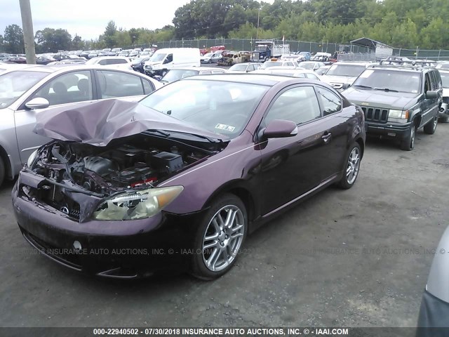 JTKDE177370191461 - 2007 TOYOTA SCION TC 紫色 照片 2