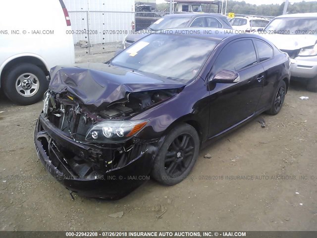 JTKDE3B76A0314874 - 2010 TOYOTA SCION TC PURPLE photo 2