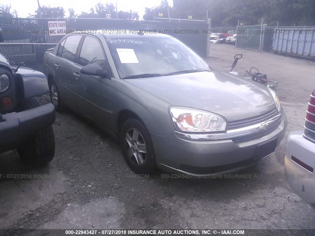 1G1ZT54804F195475 - 2004 CHEVROLET MALIBU LS ტალღისფერი ფოტო 1