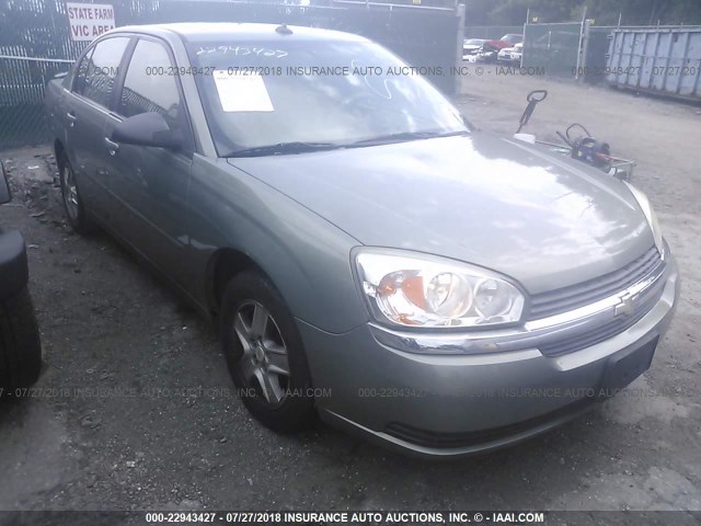 1G1ZT54804F195475 - 2004 CHEVROLET MALIBU LS ტალღისფერი ფოტო 6