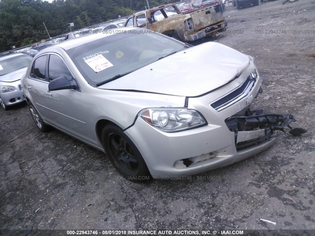1G1ZB5E08CF276833 - 2012 CHEVROLET MALIBU LS Qızıl foto 1