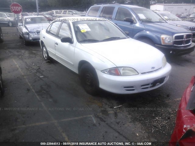 1G1JC524527332463 - 2002 CHEVROLET CAVALIER CNG WHITE photo 1