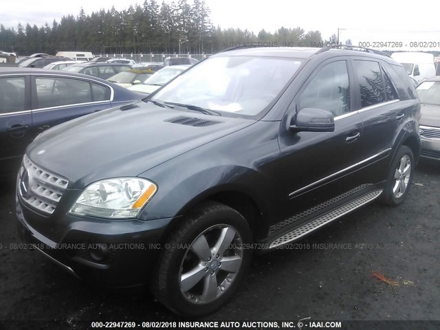 4JGBB8GB3BA684365 - 2011 MERCEDES-BENZ ML 350 4MATIC GRAY photo 2