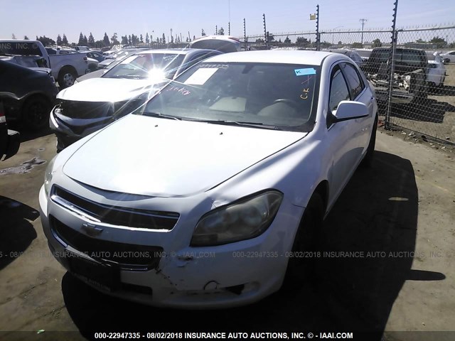1G1ZH57B39F163670 - 2009 CHEVROLET MALIBU 1LT WHITE photo 2