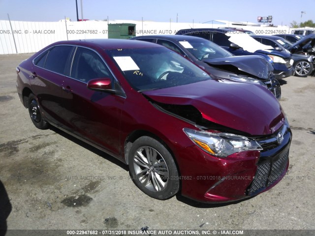 4T1BF1FKXHU767392 - 2017 TOYOTA CAMRY LE/XLE/SE/XSE 栗色 照片 1