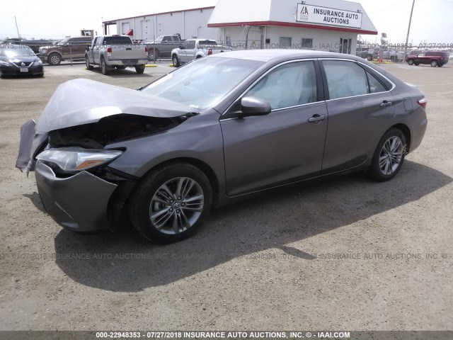 4T1BF1FK8GU581252 - 2016 TOYOTA CAMRY LE/XLE/SE/XSE 灰色 照片 2