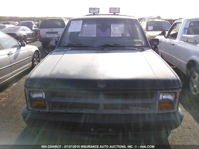 1B7FN64X1JS742886 - 1988 DODGE DAKOTA SPORT BLACK photo 6