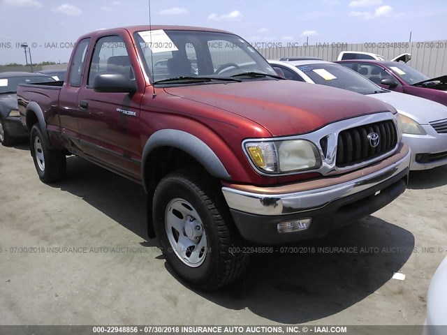 5TESM92N01Z874893 - 2001 TOYOTA TACOMA XTRACAB PRERUNNER წითელი ფოტო 1