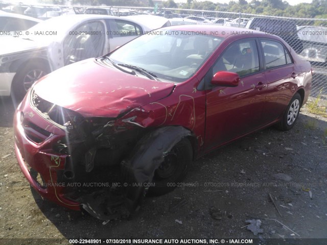2T1BU4EE9BC650303 - 2011 TOYOTA COROLLA S/LE RED photo 2