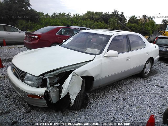 JT8BH22FXT0052155 - 1996 LEXUS LS 400 WHITE photo 2