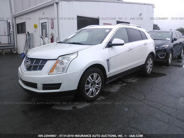 3GYFNDEY7BS523460 - 2011 CADILLAC SRX LUXURY COLLECTION WHITE photo 2