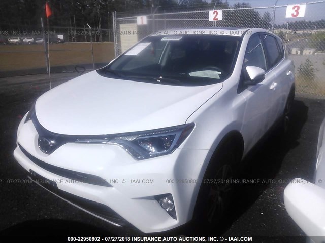 2T3RFREV7JW786231 - 2018 TOYOTA RAV4 ADVENTURE/XLE WHITE photo 2