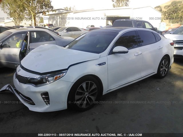 5XXGV4L27GG052058 - 2016 KIA OPTIMA SXL WHITE photo 2