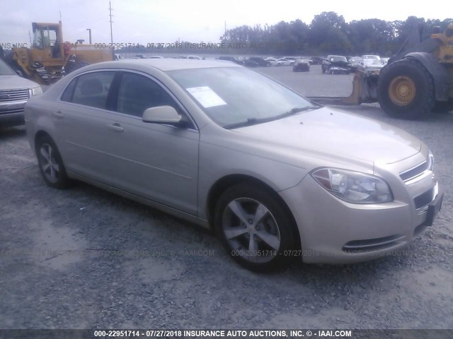 1G1ZC5E10BF137042 - 2011 CHEVROLET MALIBU 1LT ვერცხლისფერი ფოტო 1