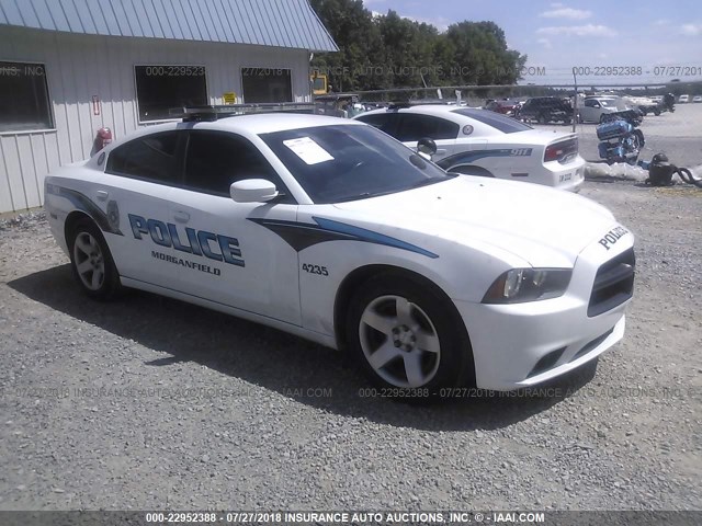 2C3CDXAT0DH713036 - 2013 DODGE CHARGER POLICE WHITE photo 1