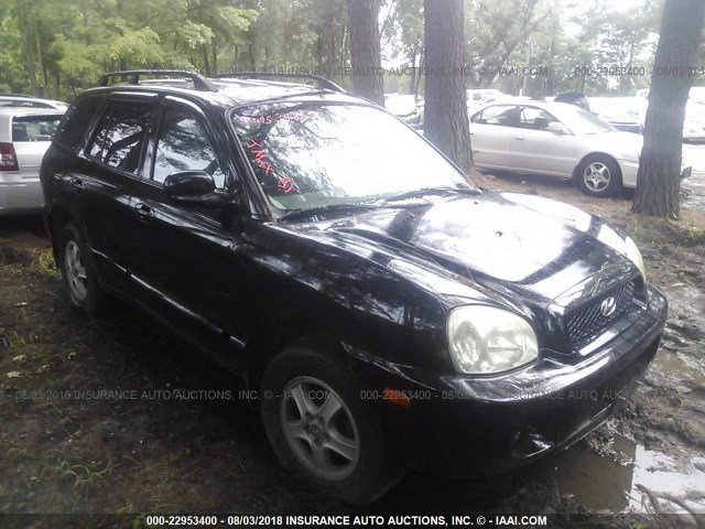 KM8SB12B84U818853 - 2004 HYUNDAI SANTA FE GL BLACK photo 1