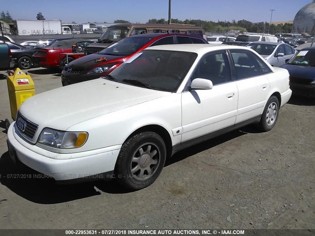 WAUFA84A8TN037794 - 1996 AUDI A6 WHITE photo 2