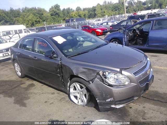 1G1ZB5EB6AF292527 - 2010 CHEVROLET MALIBU LS თაფლისფერი ფოტო 1