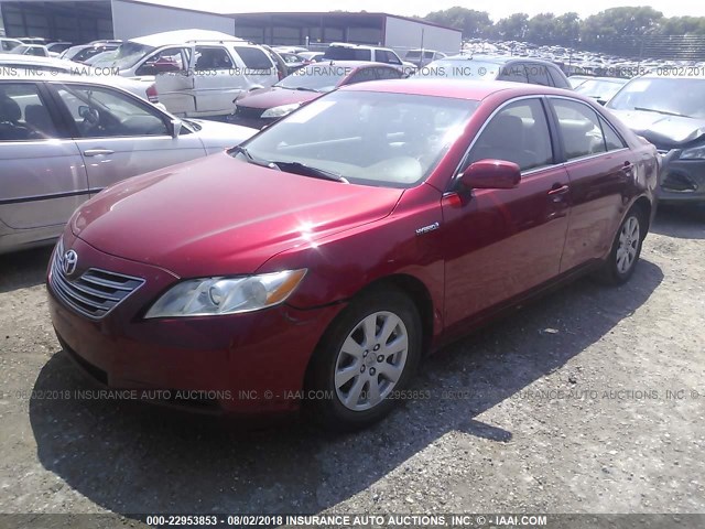 4T1BB46KX7U022301 - 2007 TOYOTA CAMRY NEW GENERAT HYBRID RED photo 2