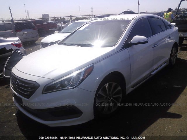 5NPE34AF8FH204242 - 2015 HYUNDAI SONATA SPORT/LIMITED WHITE photo 2