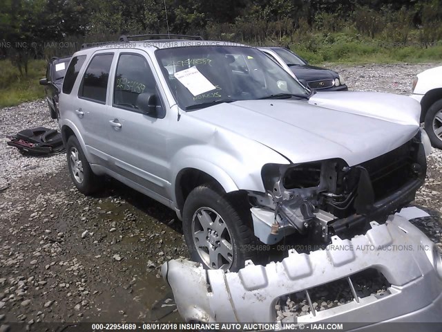 1FMYU941X5KD66084 - 2005 FORD ESCAPE LIMITED SILVER photo 1