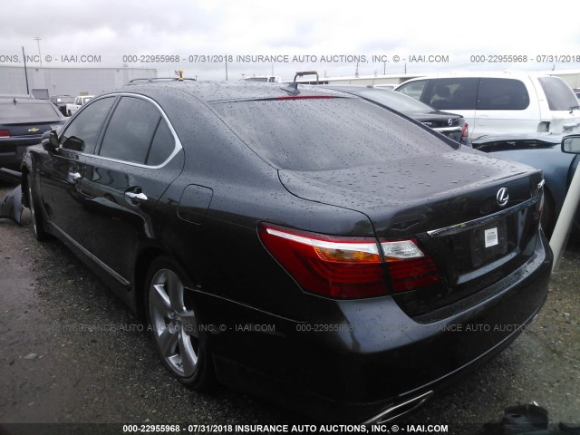 JTHBL5EF1B5107279 - 2011 LEXUS LS 460 BLACK photo 3