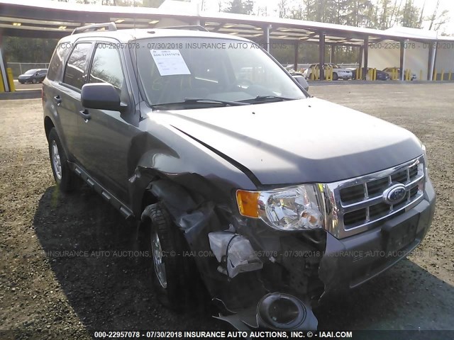 1FMCU0D74BKC52510 - 2011 FORD ESCAPE XLT GRAY photo 1