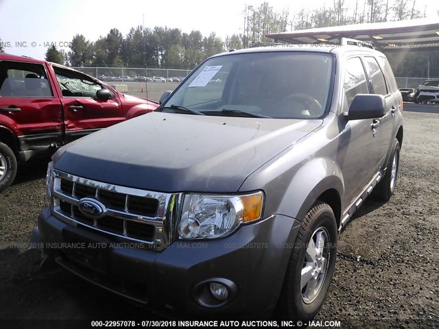 1FMCU0D74BKC52510 - 2011 FORD ESCAPE XLT GRAY photo 2