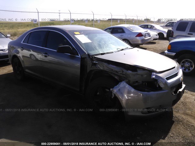 1G1ZB5E08CF330308 - 2012 CHEVROLET MALIBU LS Şampan foto 1