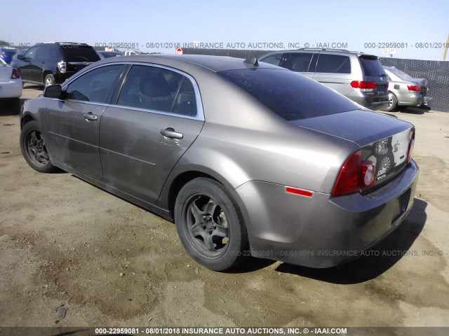 1G1ZB5E08CF330308 - 2012 CHEVROLET MALIBU LS Şampan foto 3