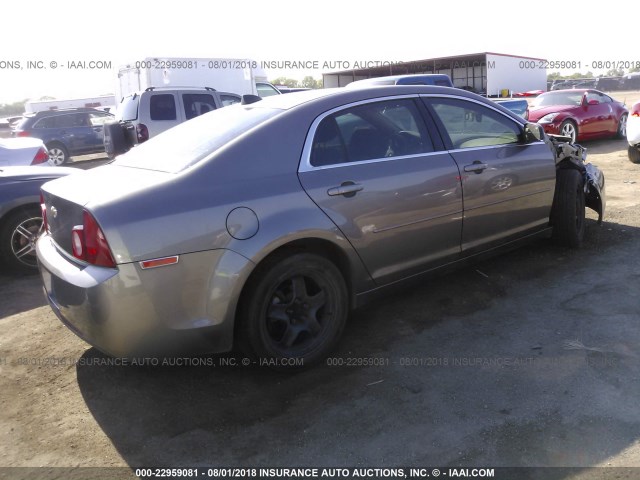 1G1ZB5E08CF330308 - 2012 CHEVROLET MALIBU LS Şampan foto 4
