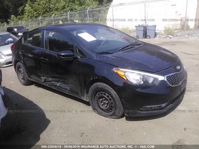 KNAFK4A69E5139467 - 2014 KIA FORTE LX BLACK photo 1