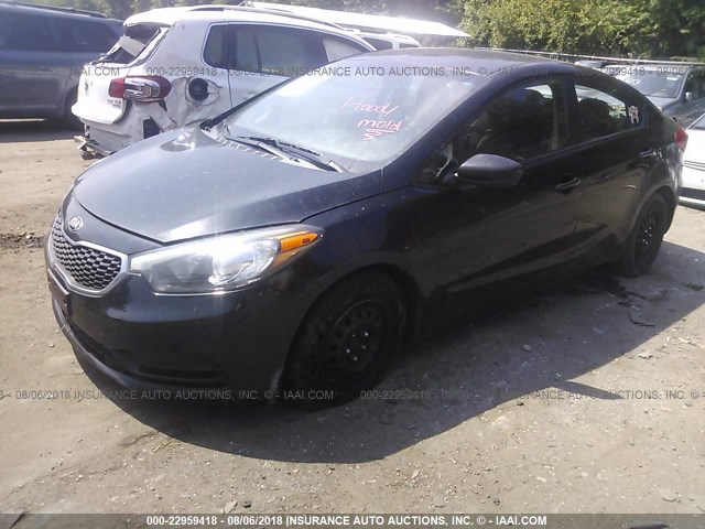 KNAFK4A69E5139467 - 2014 KIA FORTE LX BLACK photo 2