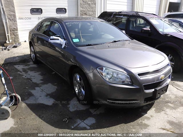 1G1ZC5EB3AF288805 - 2010 CHEVROLET MALIBU 1LT 棕色 照片 1