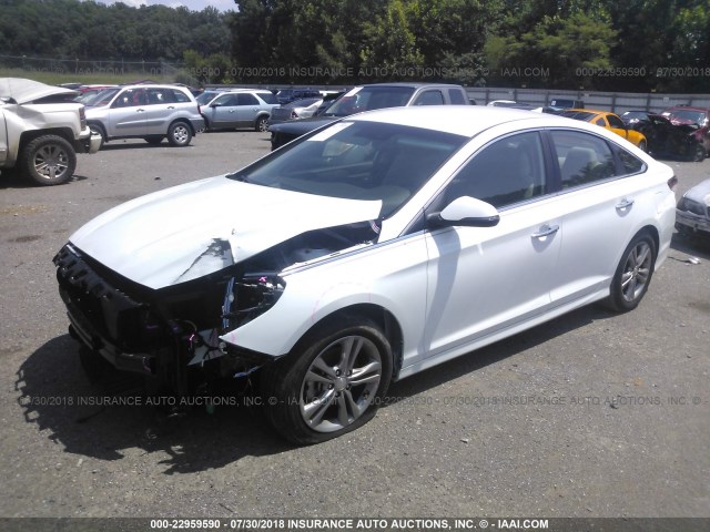 5NPE34AF0JH655044 - 2018 HYUNDAI SONATA SPORT/LIMITED WHITE photo 2