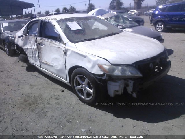 4T1BE46KX9U881169 - 2009 TOYOTA CAMRY SE/LE/XLE თეთრი ფოტო 1