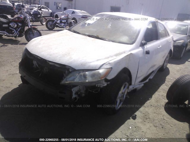 4T1BE46KX9U881169 - 2009 TOYOTA CAMRY SE/LE/XLE WHITE photo 2