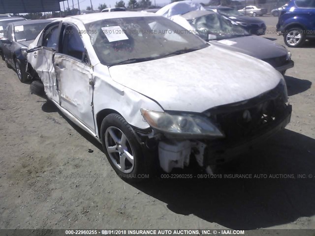 4T1BE46KX9U881169 - 2009 TOYOTA CAMRY SE/LE/XLE თეთრი ფოტო 6