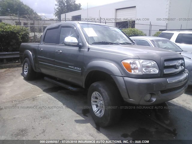 5TBET34105S486436 - 2005 TOYOTA TUNDRA DOUBLE CAB SR5 GRAY photo 1