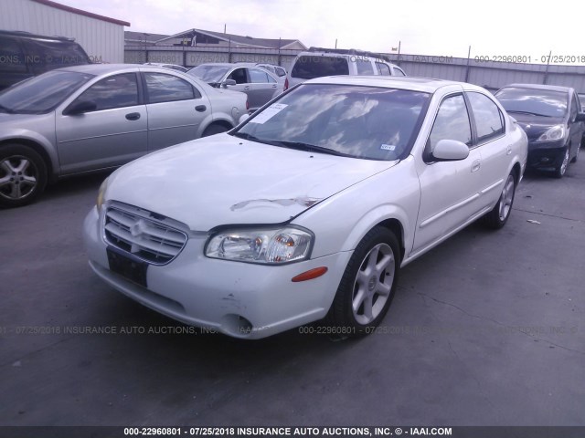 JN1CA31D1YT520069 - 2000 NISSAN MAXIMA GLE/GXE/SE WHITE photo 2