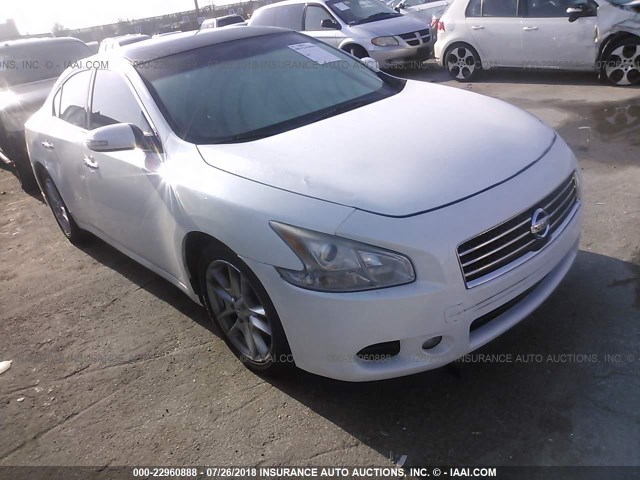 1N4AA5AP5BC863961 - 2011 NISSAN MAXIMA S/SV WHITE photo 1