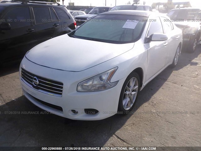 1N4AA5AP5BC863961 - 2011 NISSAN MAXIMA S/SV WHITE photo 2