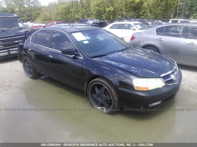 19UUA56883A016441 - 2003 ACURA 3.2TL TYPE-S BLACK photo 1