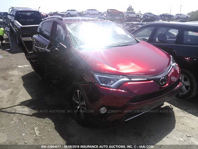 2T3WFREV4JW450779 - 2018 TOYOTA RAV4 ADVENTURE/XLE 栗色 照片 1