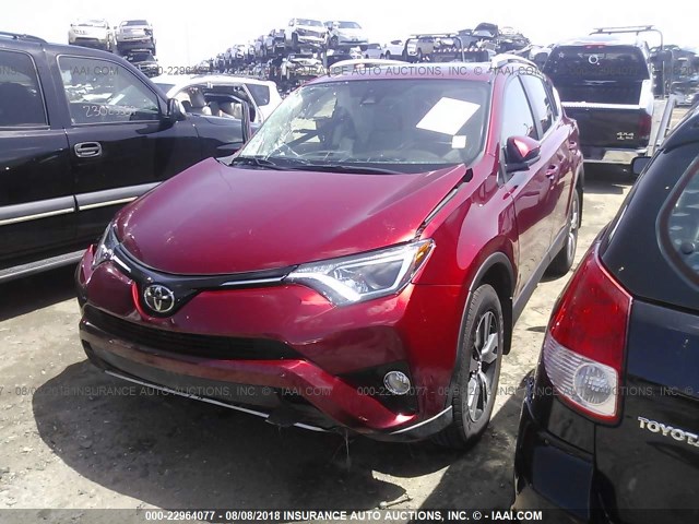 2T3WFREV4JW450779 - 2018 TOYOTA RAV4 ADVENTURE/XLE 栗色 照片 2