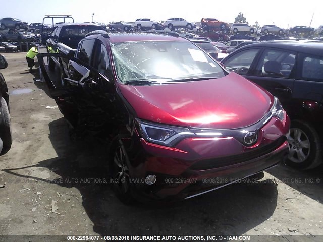 2T3WFREV4JW450779 - 2018 TOYOTA RAV4 ADVENTURE/XLE 栗色 照片 6